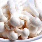 海鲜菇的挑选与食用方法