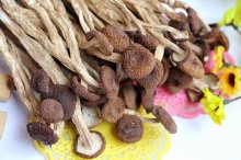茶树菇长毛了还能吃吗？茶树菇怎么保存？