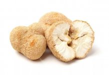 种植和野生猴头菇的营养：抗衰老