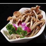 茶树菇怎样炒的吃好？