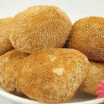 猴头菇炖鸡汤的做法及猴头菇的营养成分