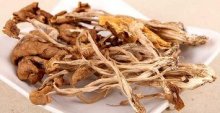 吃茶树菇过敏怎么办？