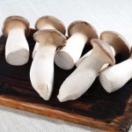 干煸杏鲍菇菇的做法