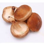 如何判断新鲜香菇变质？挑选香菇的小技巧