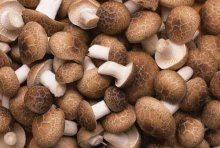 香菇的抗癌功效怎么样？