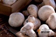 草菇的热量，吃草菇能减肥吗?
