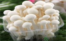 白玉菇海鲜菇的区别