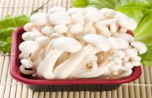 减肥能吃白玉菇吗？白玉菇有什么功效？