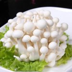 白玉菇与蟹味菇的区别及白玉菇与蟹味菇的营养价值