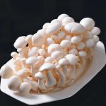 吃白玉菇对人体有哪些功效作用？