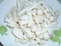 凉拌白玉菇的做法窍门，白玉菇的功效与作用