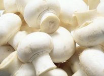 怀孕初期可以吃口蘑吗？怎样吃更好？