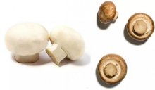 口蘑和香菇味道一样吗？口蘑和香菇有什么区别？