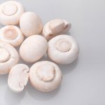 口蘑坏了是什么样的？如何挑选新鲜口蘑？