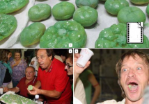 乌羽玉仙人掌类是否真有致幻作用，到底食用多少才会致幻或者头晕？