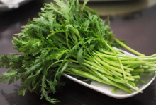 茼蒿的营养价值与食用功效介绍，哪些人不宜吃茼蒿？