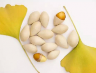 银杏果怎么吃？银杏果常见做法及食用禁忌介绍！