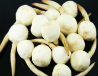 孕妇可以吃茨菇吗？孕妇吃茨菇会不会导致流产呢？