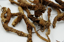 你知道胡黄连的作用和功效吗?教你一分钟了解胡黄连的功效与作用！