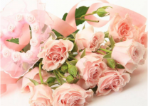 粉红玫瑰花语是什么？它代表着纯洁而刻骨的初恋，不同朵数花