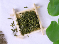 龙井和毛尖的区别是什么？外形上三点明显不同，教你如何准确区分!