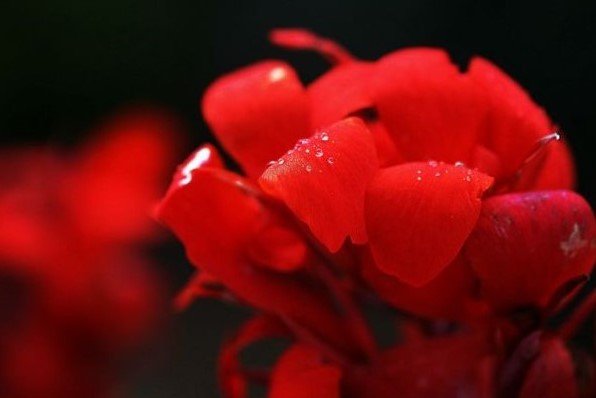 626b12dftx6CF5zn6bjed&690.jpg