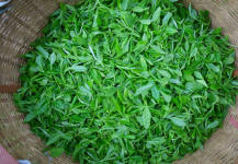 秋冬季节喝什么茶?这几款茶让你在微凉的秋季也可以感受到不一样的温暖!