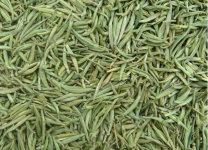 千岛银针是什么茶？它有着怎样的功效？带你走进千岛银针这种独特的茶!