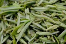 白毫乌龙茶属于什么茶？这些可以让你对它有更深的了解哦！