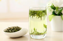 喝安吉白茶有什么作用和功效?喜爱品茶的你需要了解!
