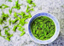君山银针一般可以冲泡几次?君山银针最佳品鉴的冲泡方法介绍!