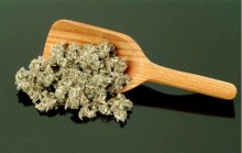 什么人适合喝洋蓟茶？有这几些症状的人群喝洋蓟茶效果立竿见影！