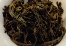 乌岽单丛可以减肥吗?喝乌岽单从的禁忌有哪些?