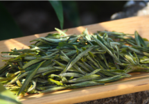 霍山黄芽属于什么茶？它的适宜人群是哪些？带你深入了解霍山黄芽!