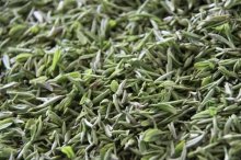 南京雨花茶怎么泡水喝？怎样泡出美味的雨花茶？