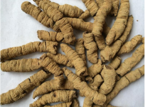 想知道巴戟天怎么吃效果最好吗?原来这就是巴戟天!