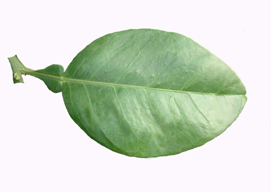 image.png image.png
