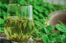 竹叶青茶算好茶吗？口感香醇功效颇多，竹叶青茶是茶中精品!