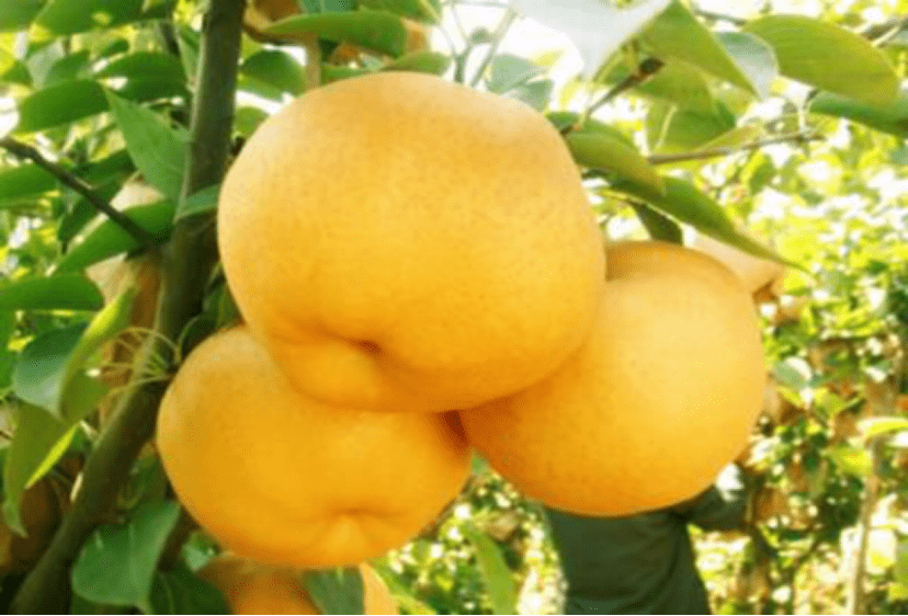 blob.png blob.png