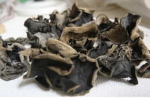 木耳煮熟了可以隔夜吃吗？原来还有这些讲究！