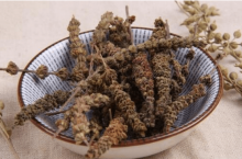 荆芥穗与黑芥穗的区别?同种同源不同制法，荆芥穗和黑芥穗功效大不同!