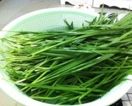 韭苔和韭菜有什么区别？看清这几个不同！带你重新认识它们的关系！