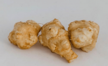 孕妇能吃菊芋吗?教你孕期食用菊芋的注意事项!