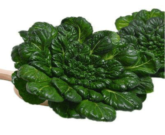 image.png image.png