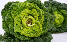 还不知道哪些人不适宜食用乌菜?稍不注意小心酿成大错哦!