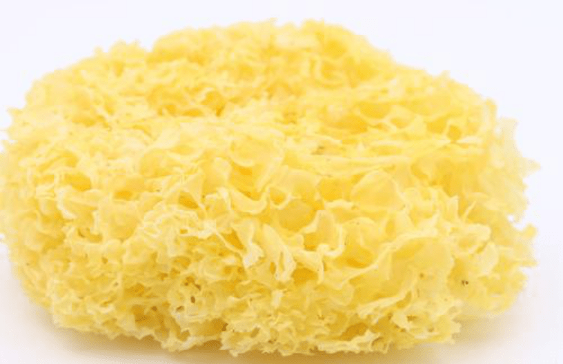 blob.png blob.png