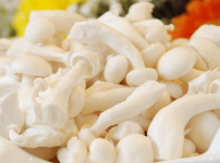 白玉菇的副作用是什么？哪些朋友不适合吃白玉菇？