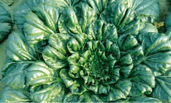 image.png image.png