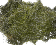 发菜有什么功效和作用?切记! 不是所有人群都可以食用发菜!