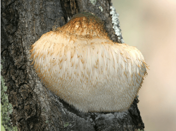 blob.png blob.png